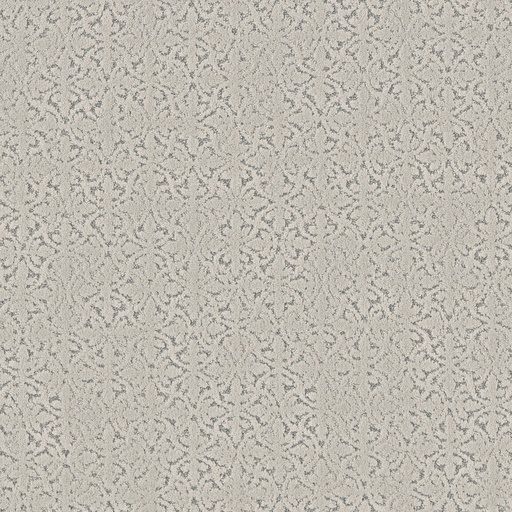 5E584-LIGHT IMPRESSIONS