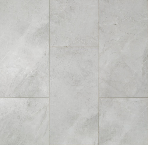CT PPLUS E TILE VV870