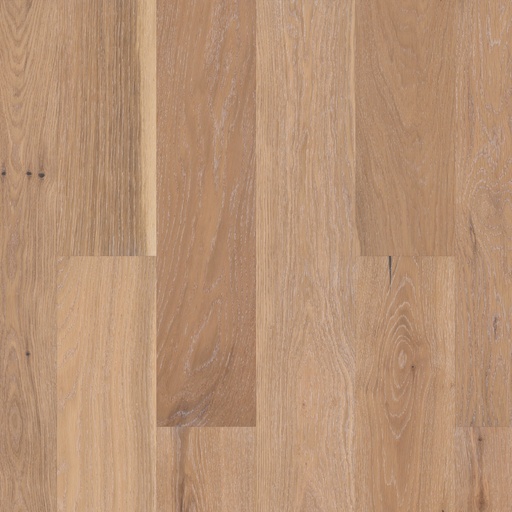 NOBLE HALL AA816