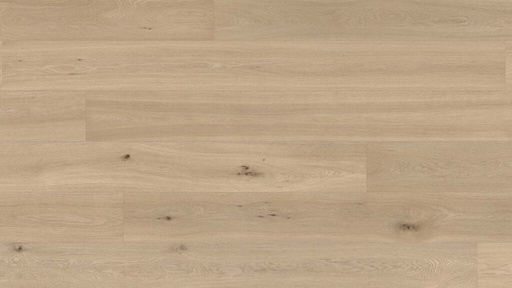 EUROSTYLE Signature Brushed - Natural Grade Oak Florence Matt Finish with Brushed Surface