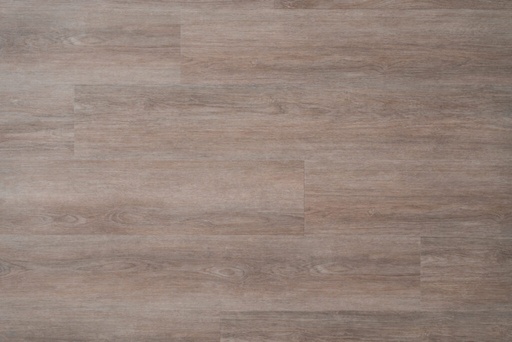 Timeless Legacy - Haven 520 - Hazelnut