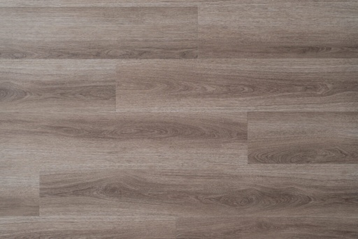Timeless Legacy - Haven 520 - Trail