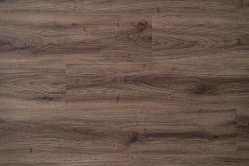 Timeless Legacy - Haven9 - Umber