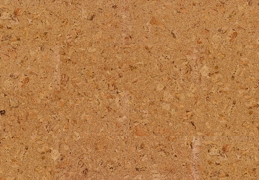 Wicanders - Cork Inspire - Originals Shell