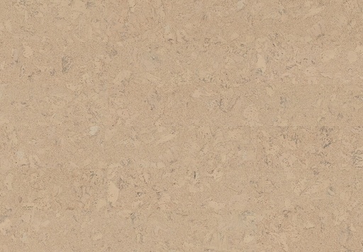 Wicanders - Cork Inspire - Shell Marfim