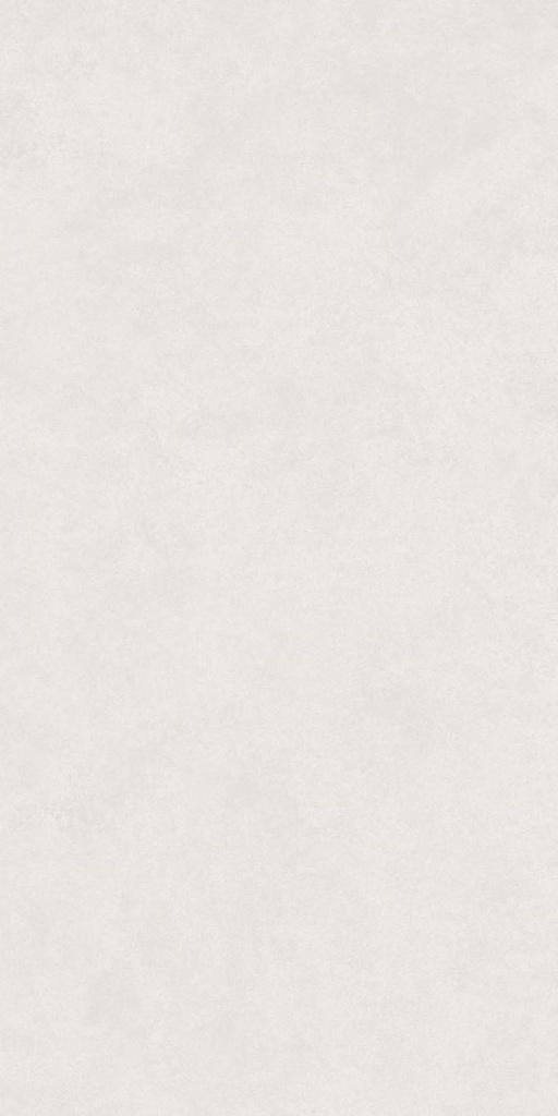 Evolve white