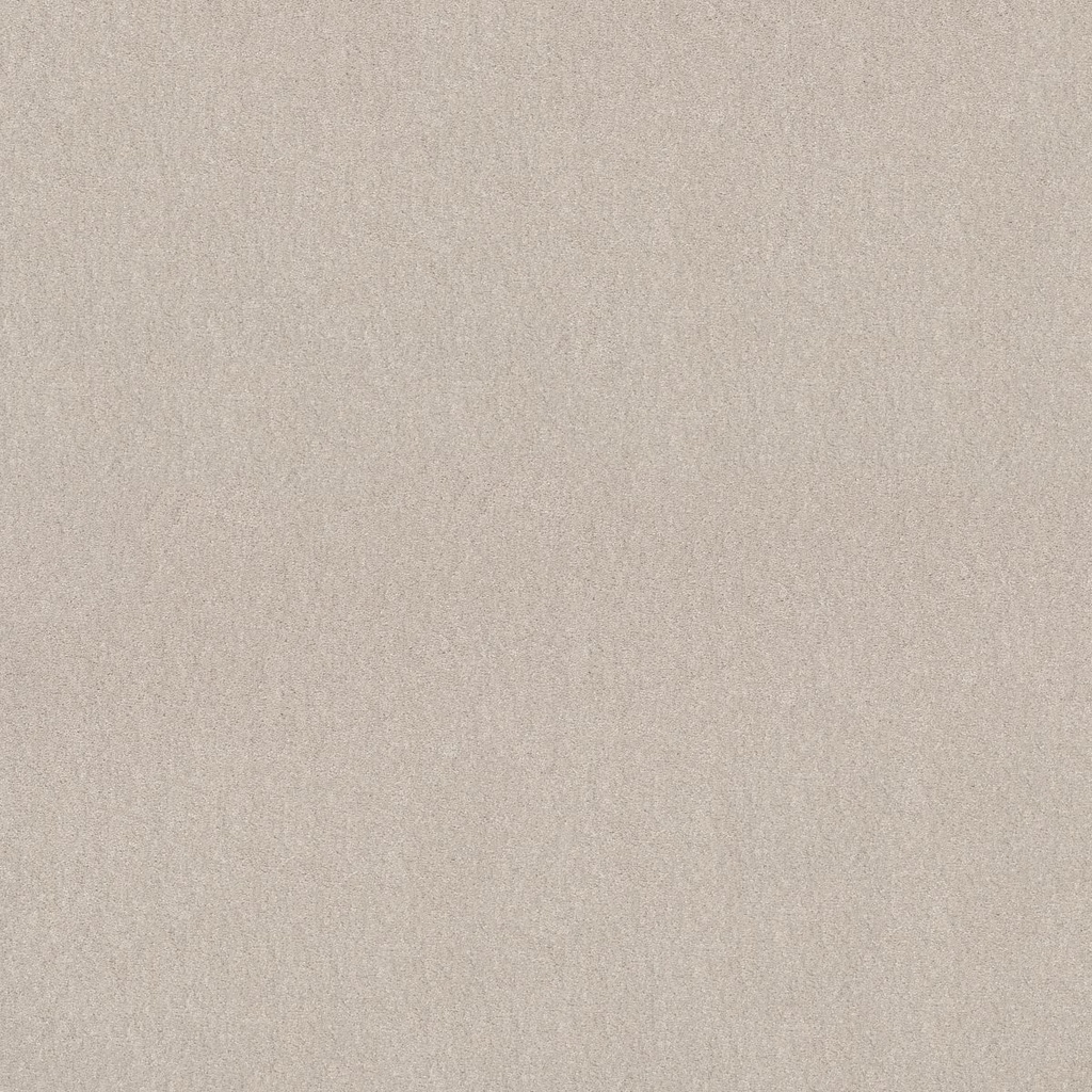 SHAW-7D0Y4-BIG IDEA II 12