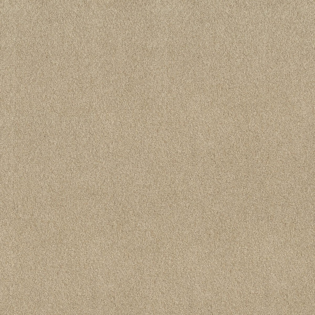 SHAW-7P0FO-CRAFTED BEAUTY TONAL I