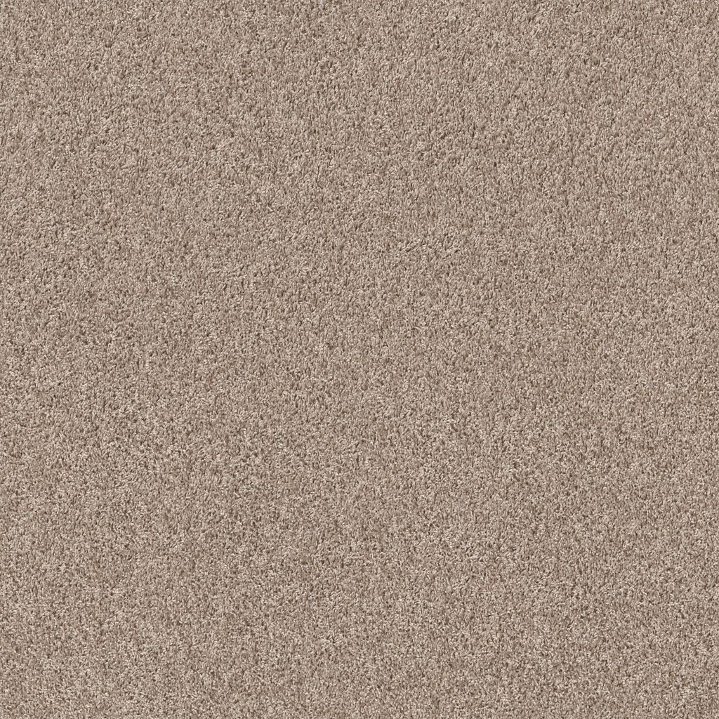SHAW-5E526-SPIRITED