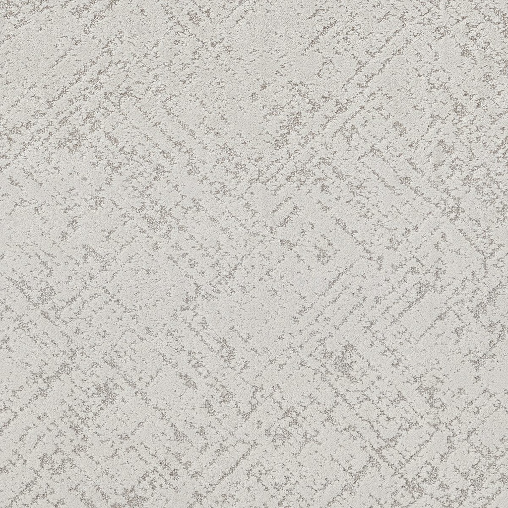 SHAW-5E828-SINCERE FOCUS