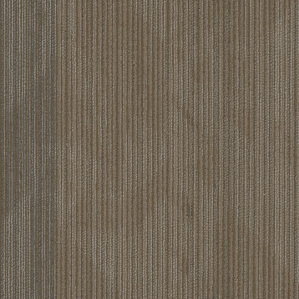 SHAW-54904-DECLARE