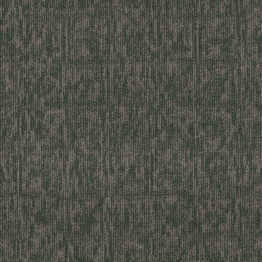 SHAW-54921-ELEMENTAL