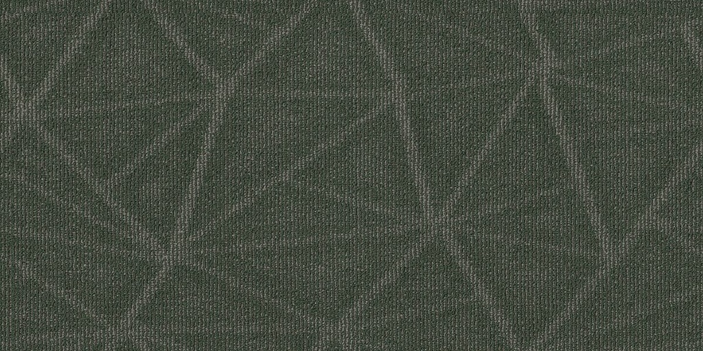 SHAW-54923-REFINE