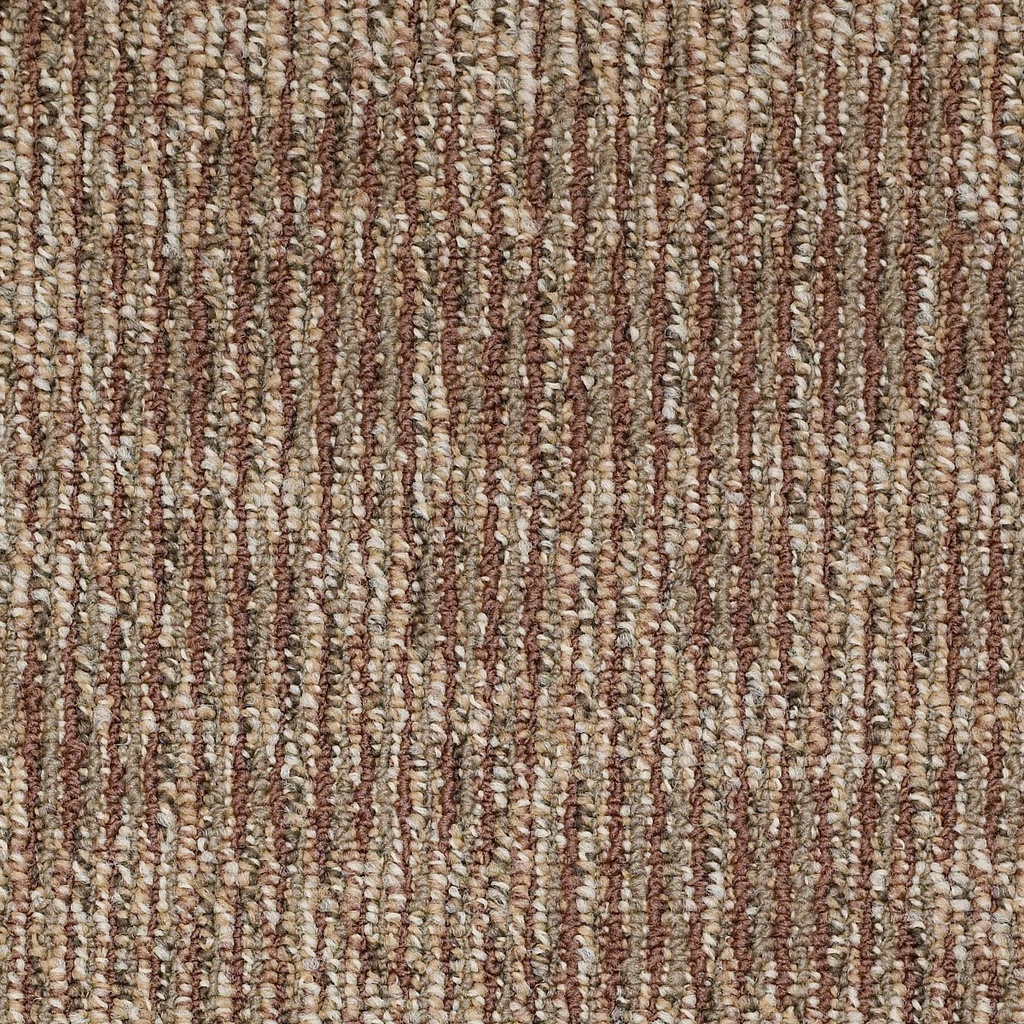 SHAW-727L5-ELEVATION