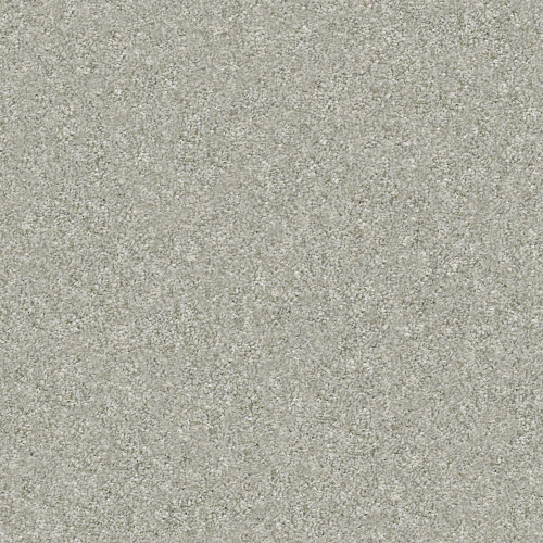 SHAW-E9965-ATTAINABLE