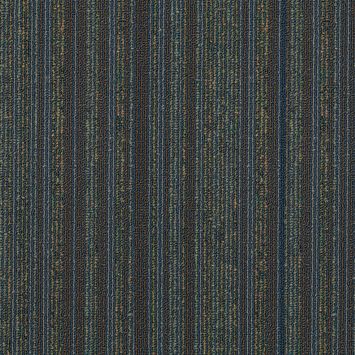 SHAW-54492-WIRED