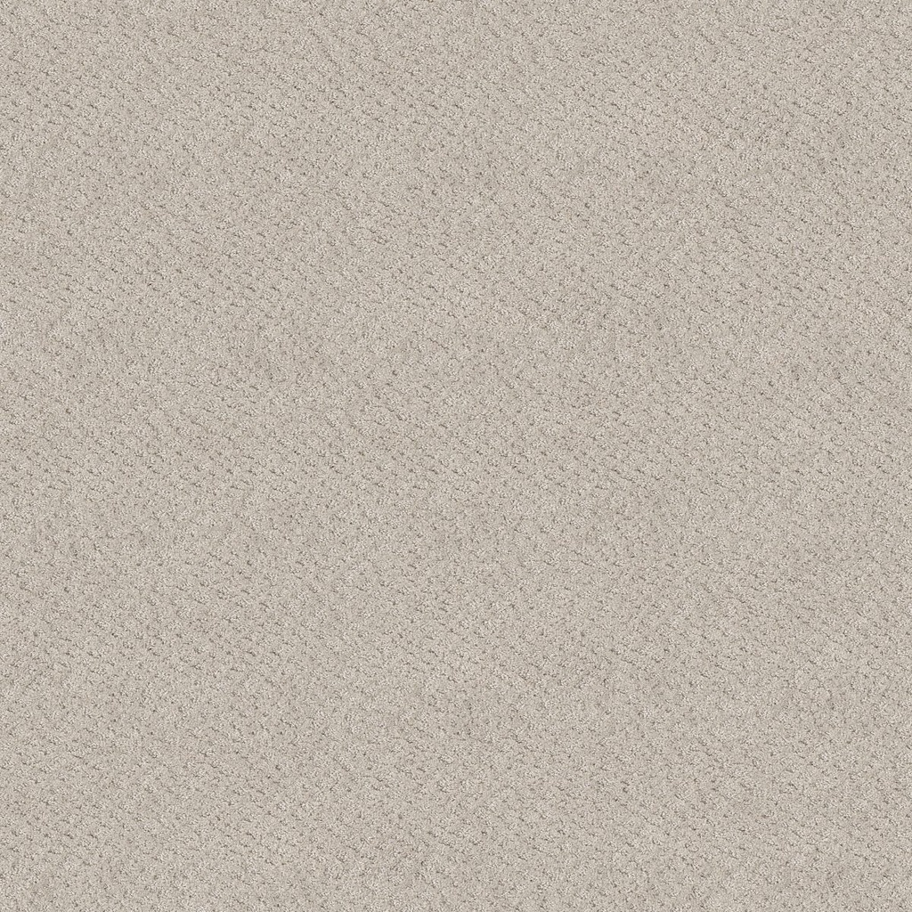 SHAW-5E342-CHIC SHADES