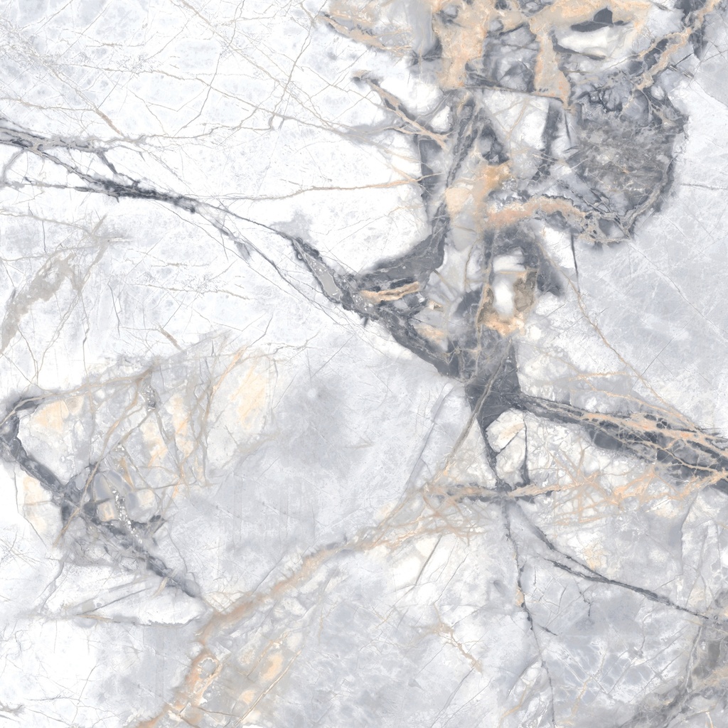 Centanni Borgia Blanco 24x48