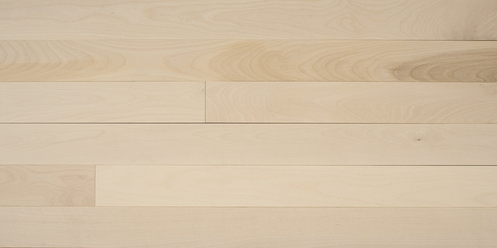 Appalachian - Verita - Poesia Yellow Birch - Excel - Solid 3/4 in - 4 1/4"