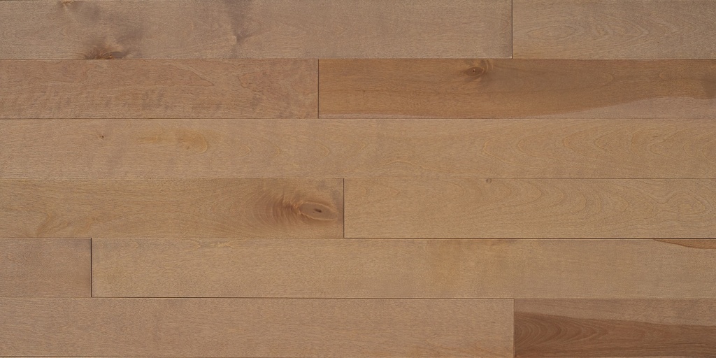 Appalachian - Signature - Biscotti Yellow Birch - Excel - Solid 3/4 in - 2 1/4"