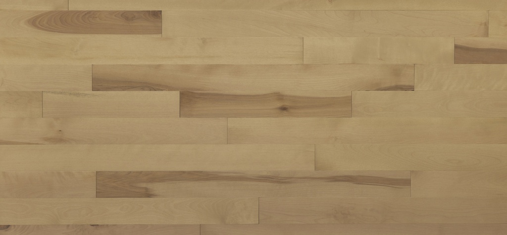 Appalachian - Signature - Orzo Yellow Birch - Excel - Solid 3/4 in - 3 1/4"