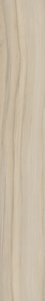 SHAW-REWILD 5667V